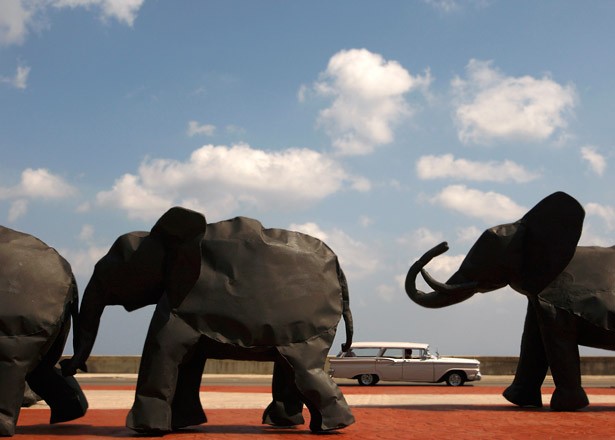 havana elephants - malecon - Reuters - Claudia Daut