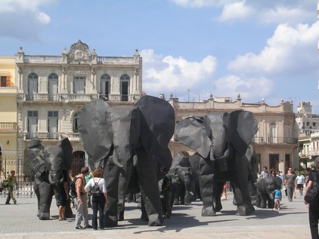 havana elephants plaza vieja